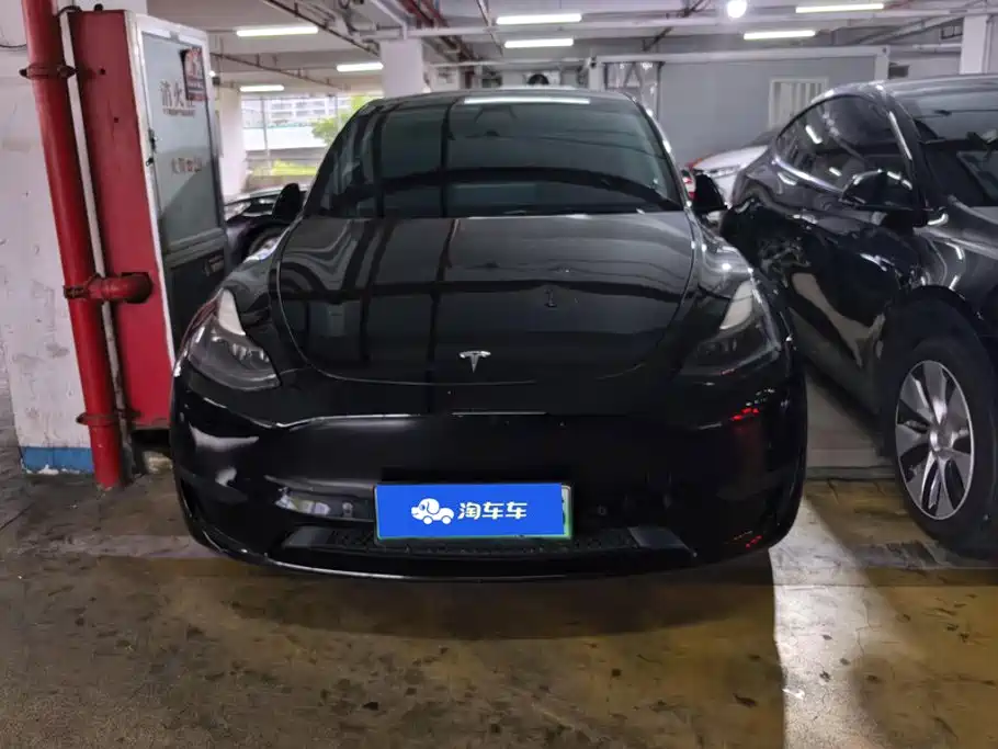 Tesla Model Y — миниатюра 2