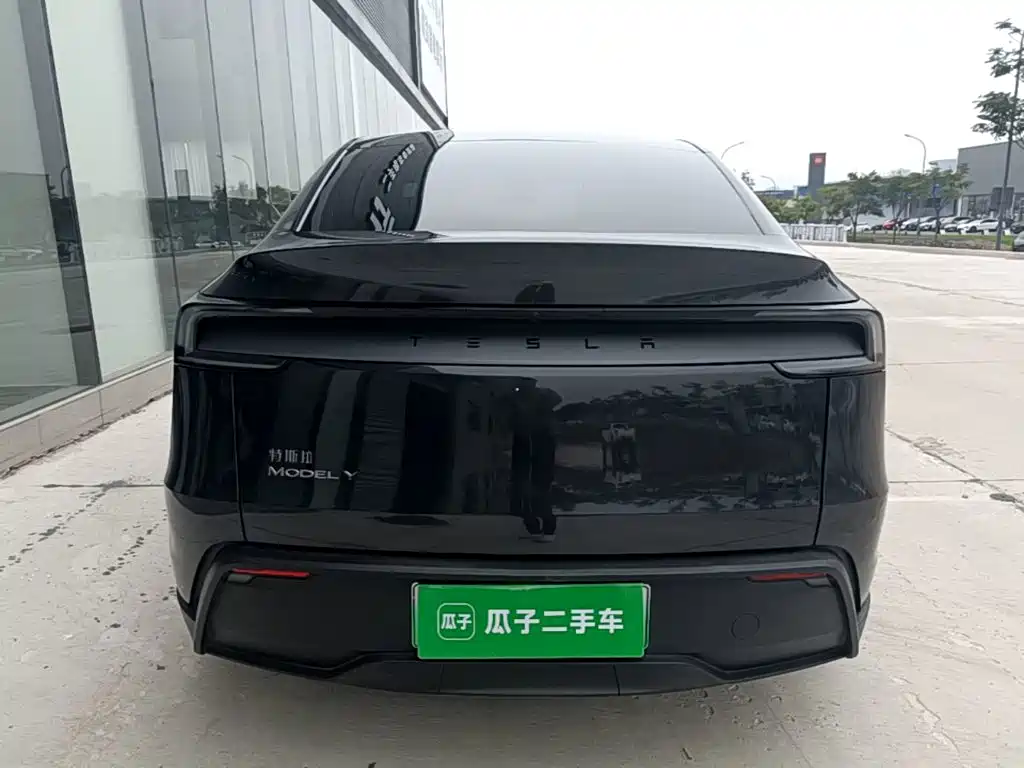 Tesla Model Y — миниатюра 6