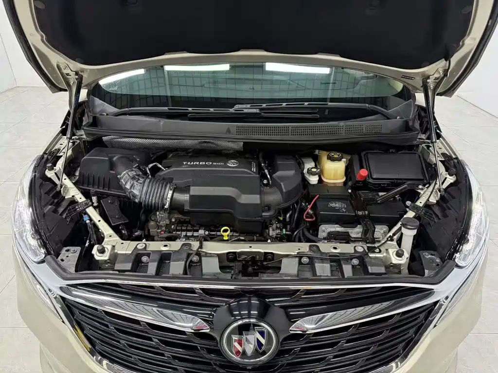 Buick GL8 — миниатюра 20