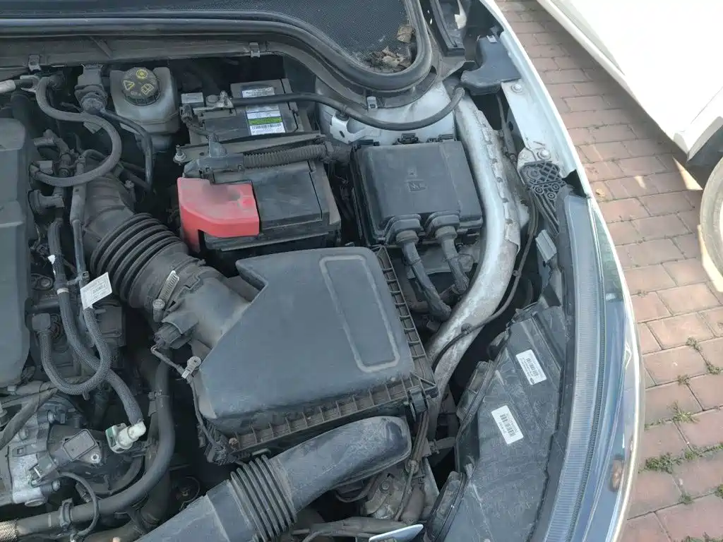 Ford Focus Active — миниатюра 21