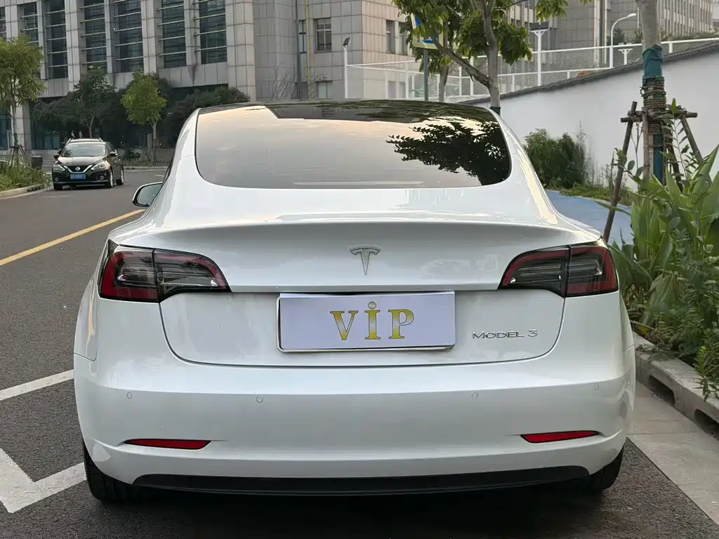 Tesla Model 3 — миниатюра 5