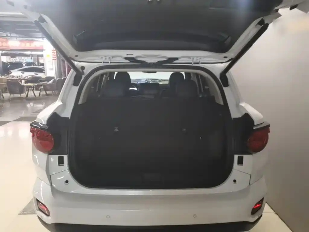 Haval Big Dog PLUS — миниатюра 17