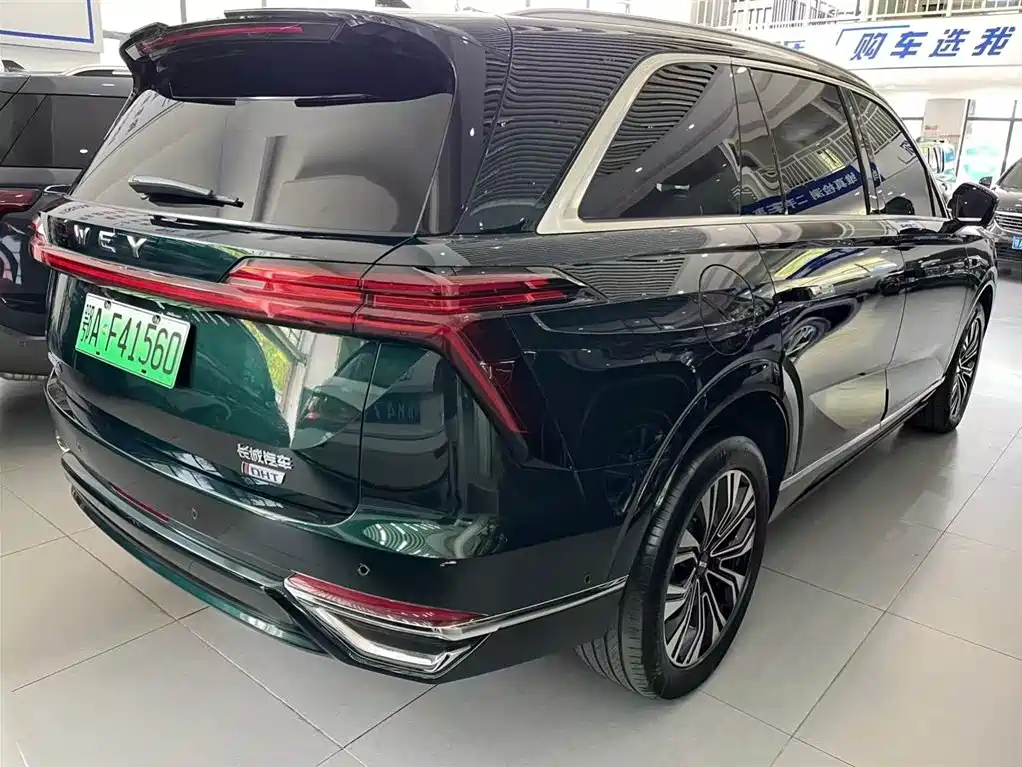 WEI PAI WEI BRAND BLUE MOUNTAIN