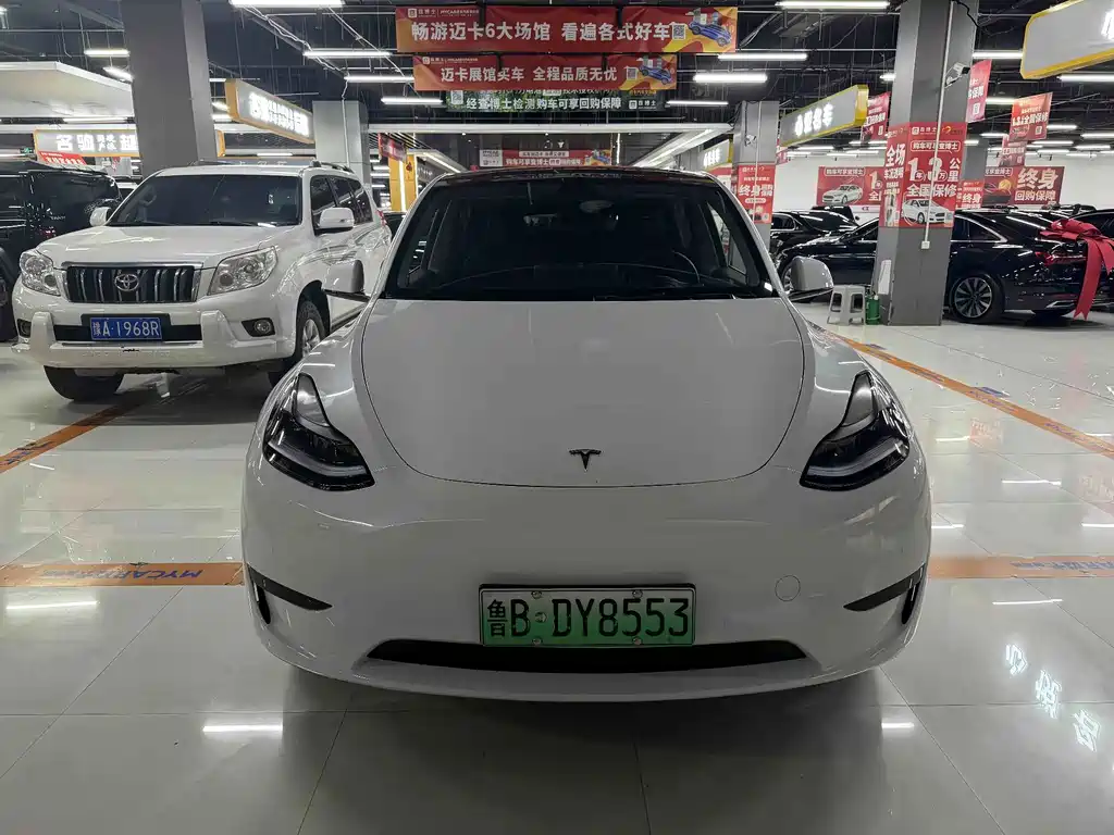 Tesla Model Y — миниатюра 2