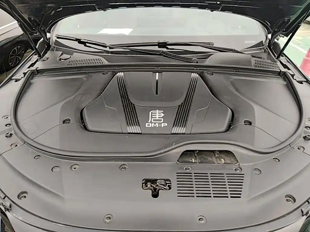 BYD Tang New Energy — миниатюра 20