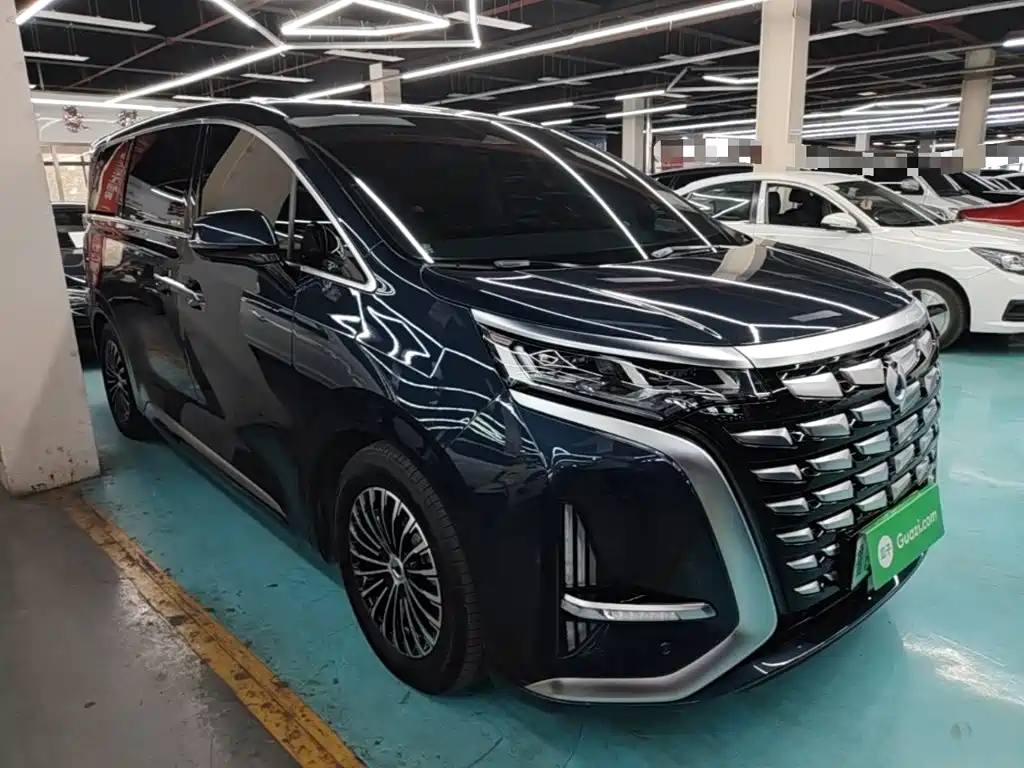 Denza Denza D9 — миниатюра 4