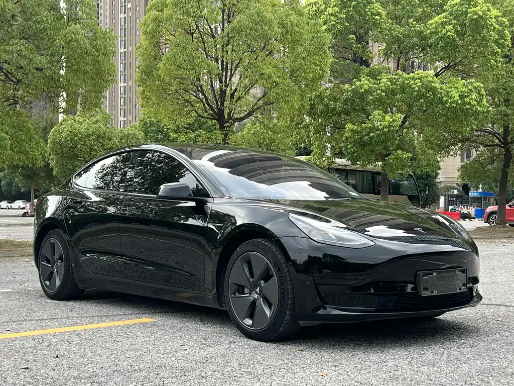 Tesla Model 3 — миниатюра 3