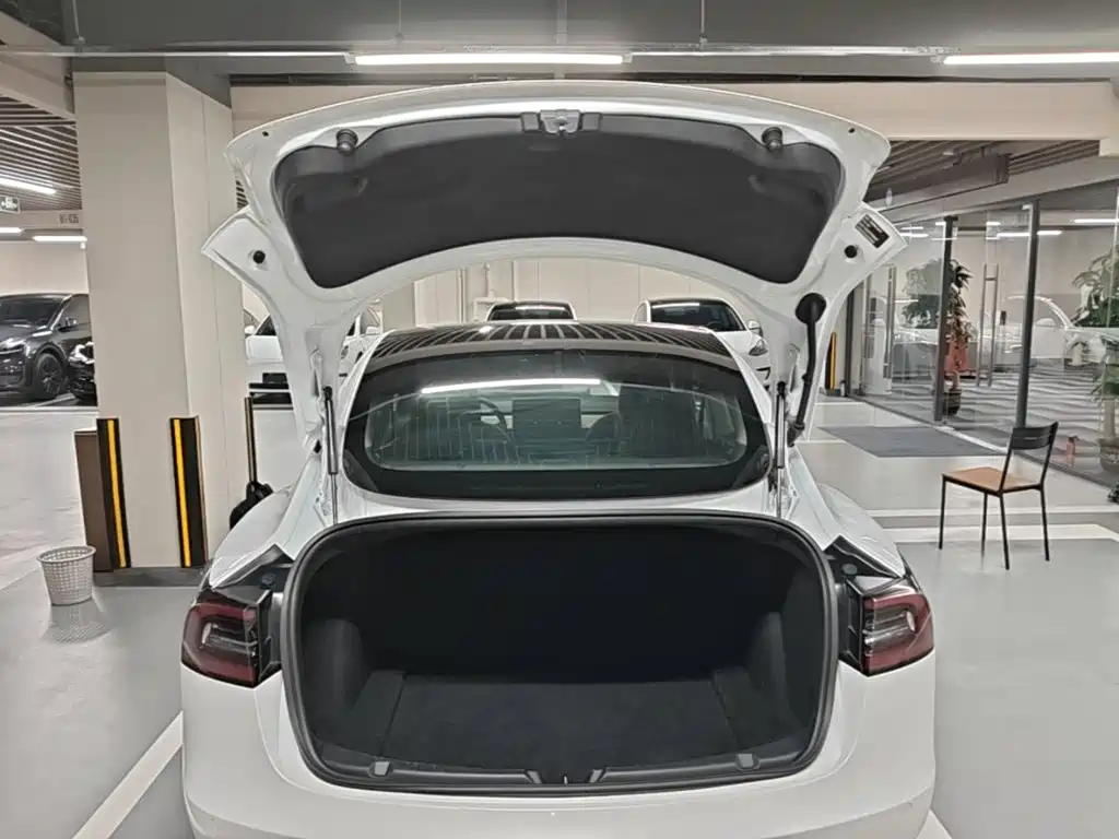 Tesla Model 3 — миниатюра 19