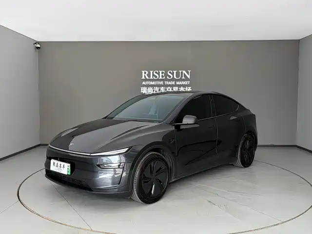 TESLA MODEL Y 2025