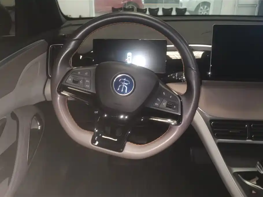 BYD SONGJIANG NEW ENERGY