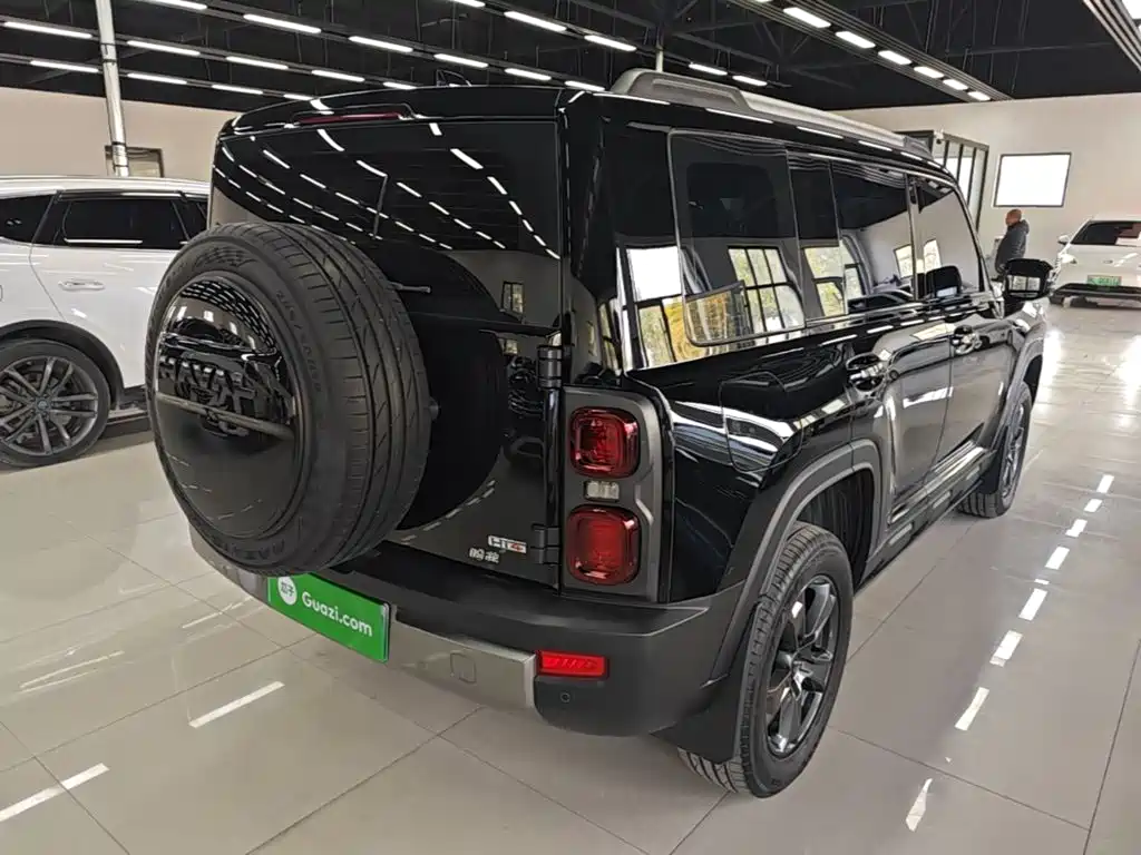 Haval Menglong New Energy — миниатюра 7