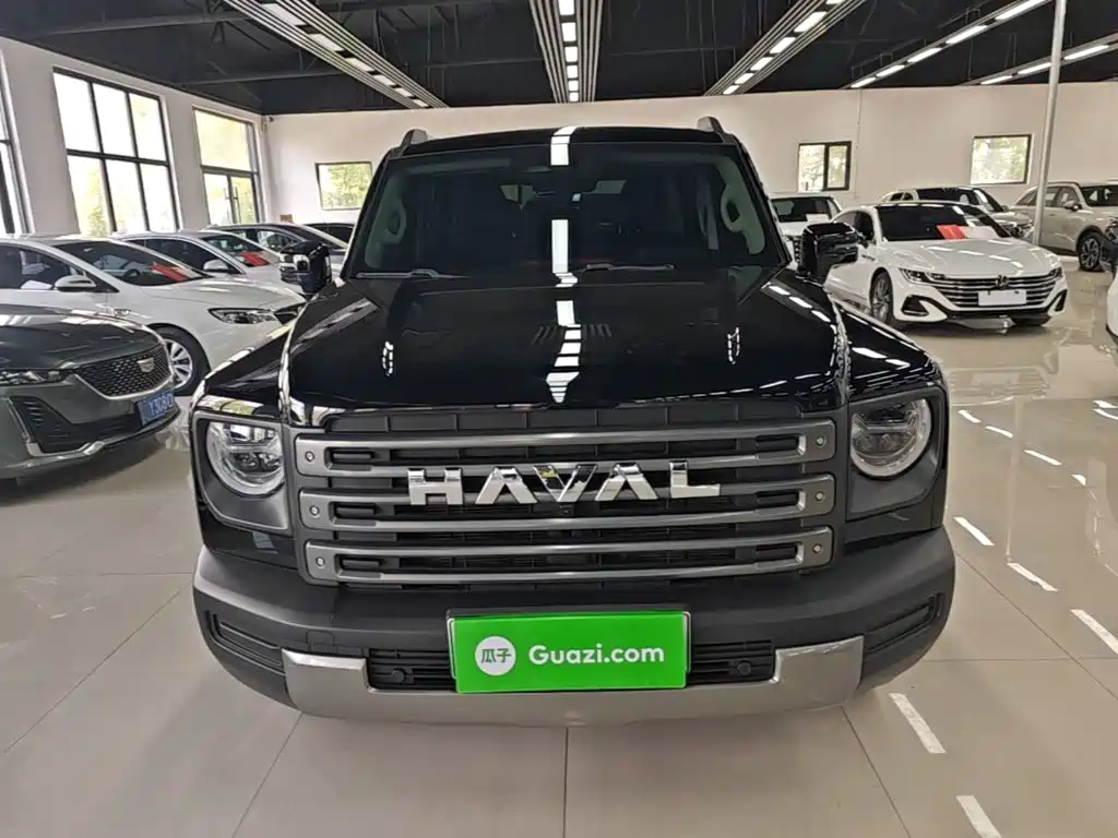 Haval Menglong New Energy — миниатюра 3