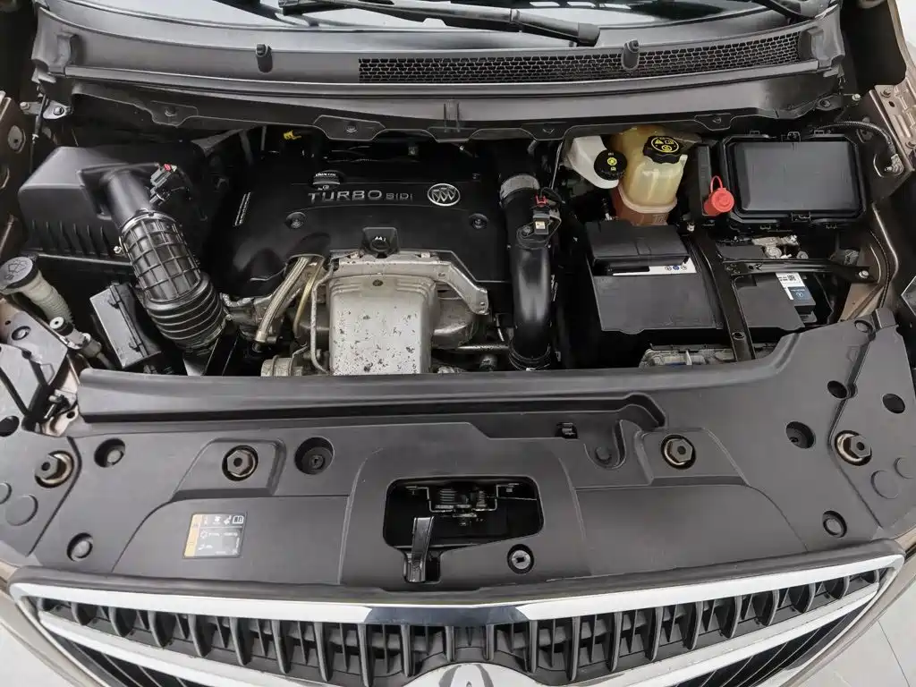 Buick GL8 — миниатюра 6