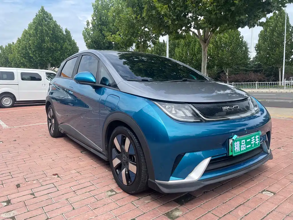 BYD Dolphin — миниатюра 3