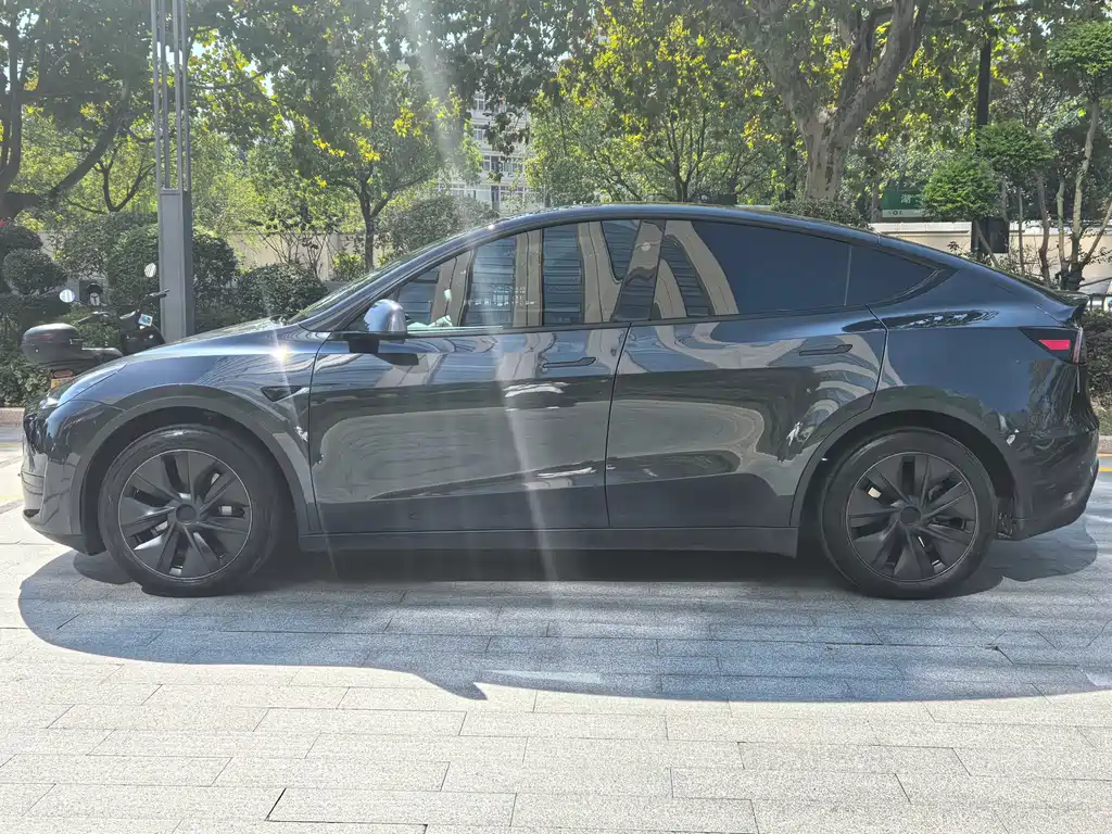 Tesla Model Y — миниатюра 4