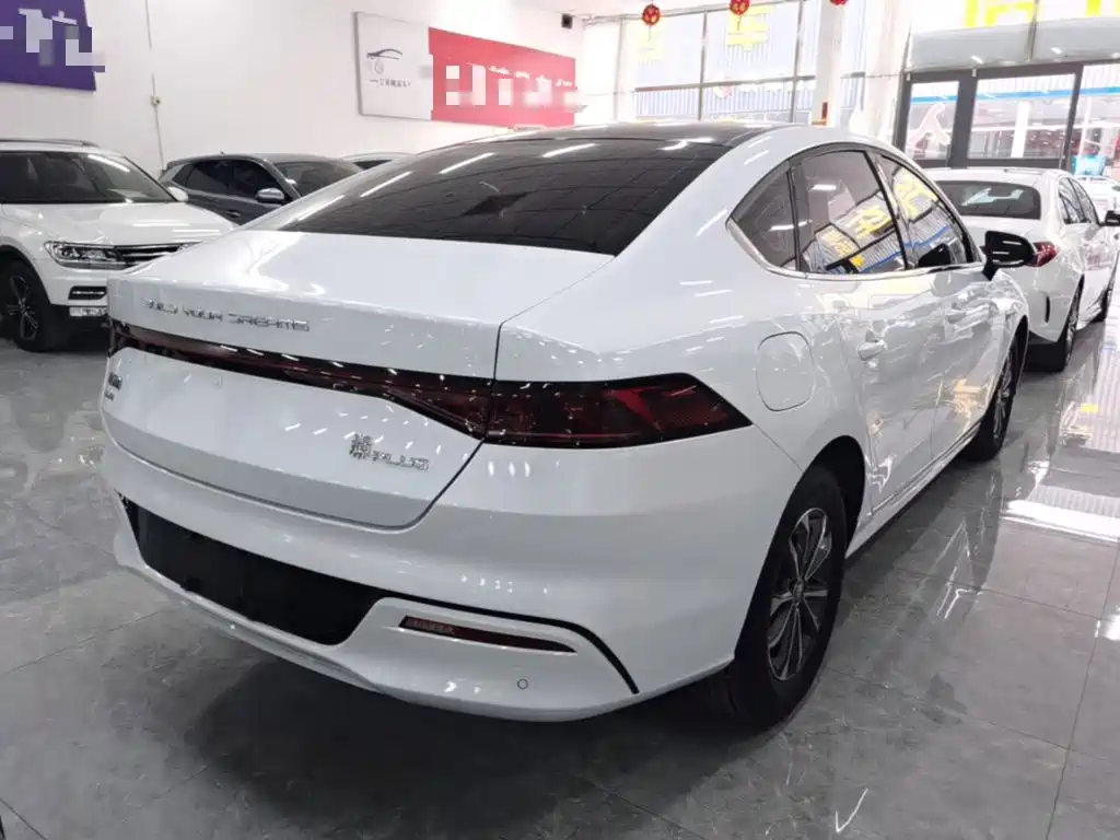 BYD Qin Plus PLUS 2023 Champion DM-i 55KM Lead