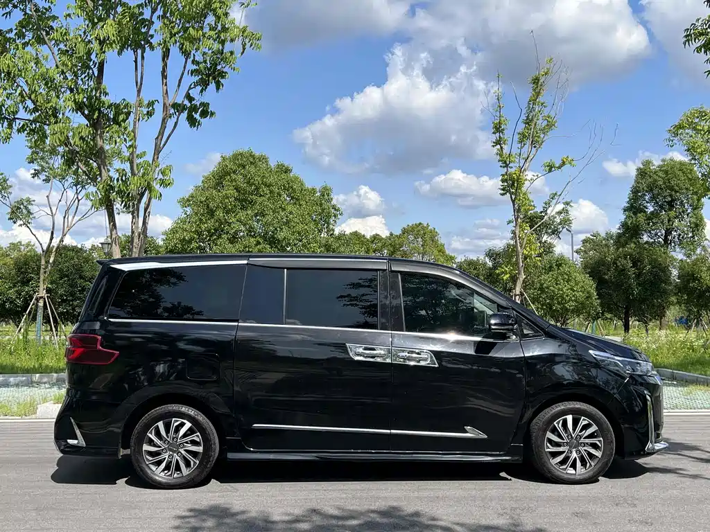 SAIC MAXUS CHASE G20