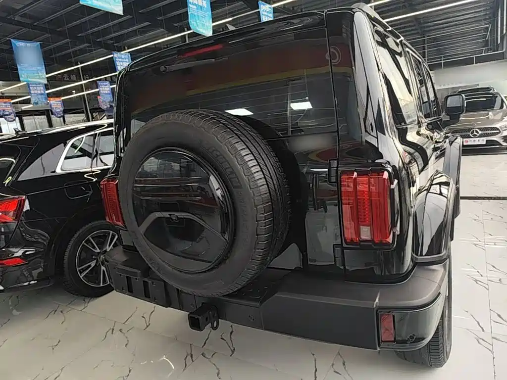Tank 300 2024 2.0T