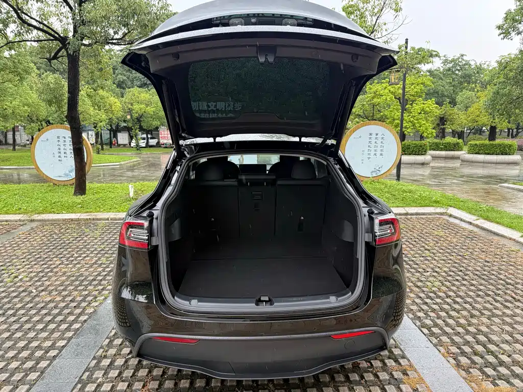 Tesla Model Y — фотографии объявления, Фото 14