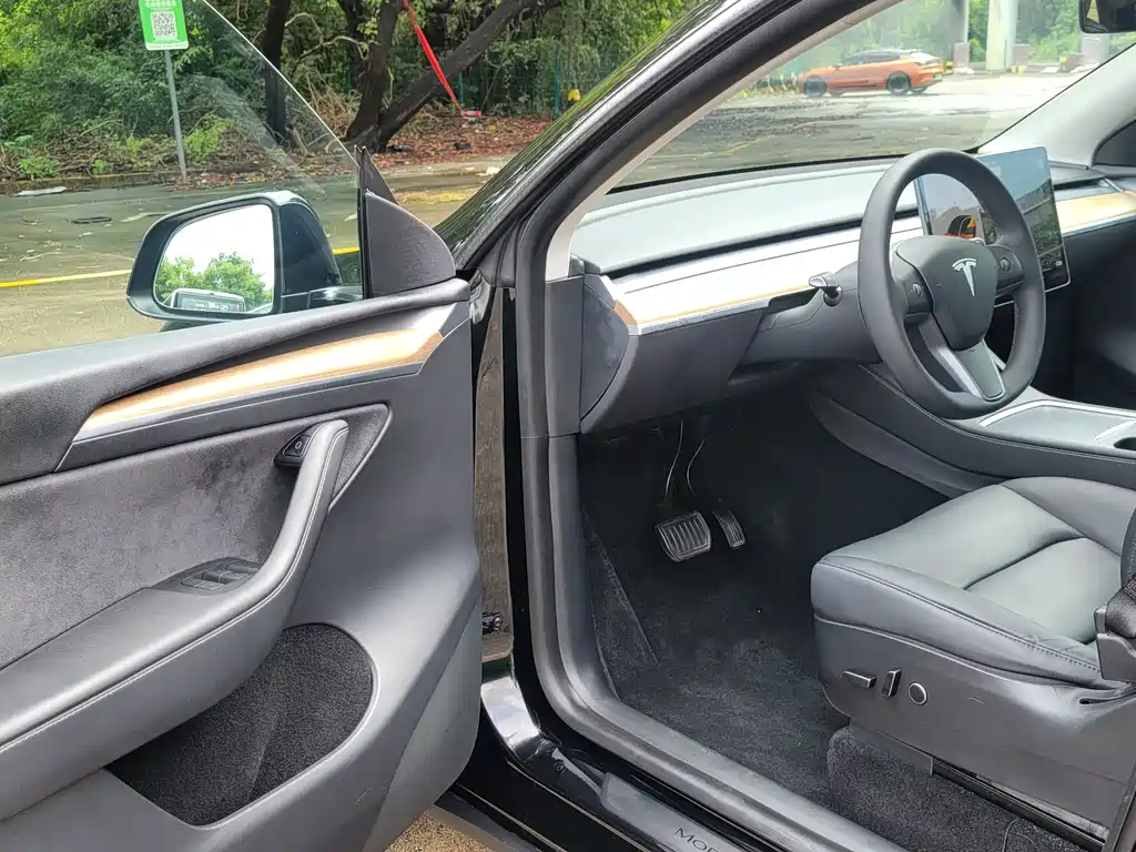 Tesla Model Y — миниатюра 8