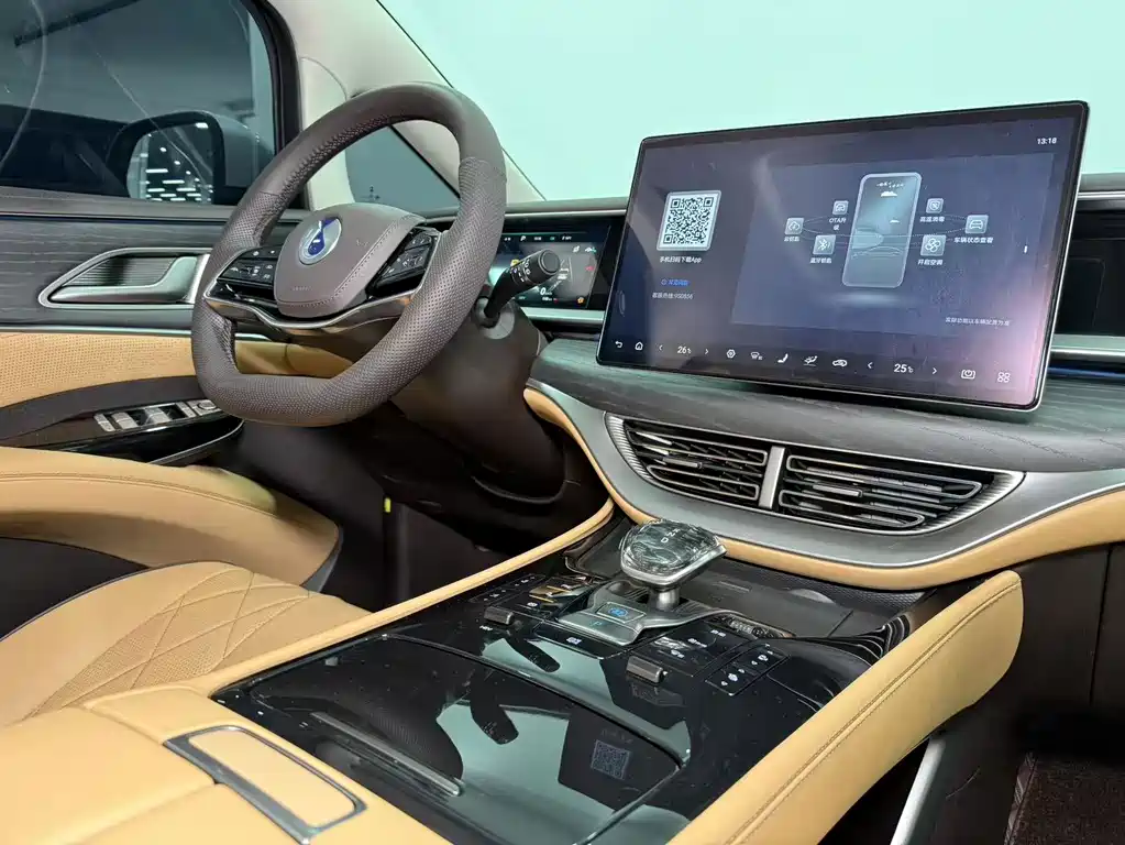 Denza Denza D9 — миниатюра 11