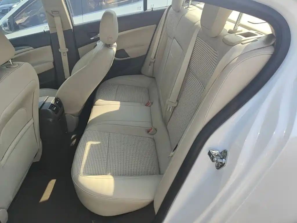 Buick Regal — миниатюра 17