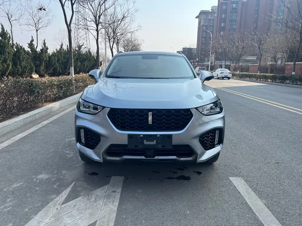 WEI PAI WEI BRAND VV5