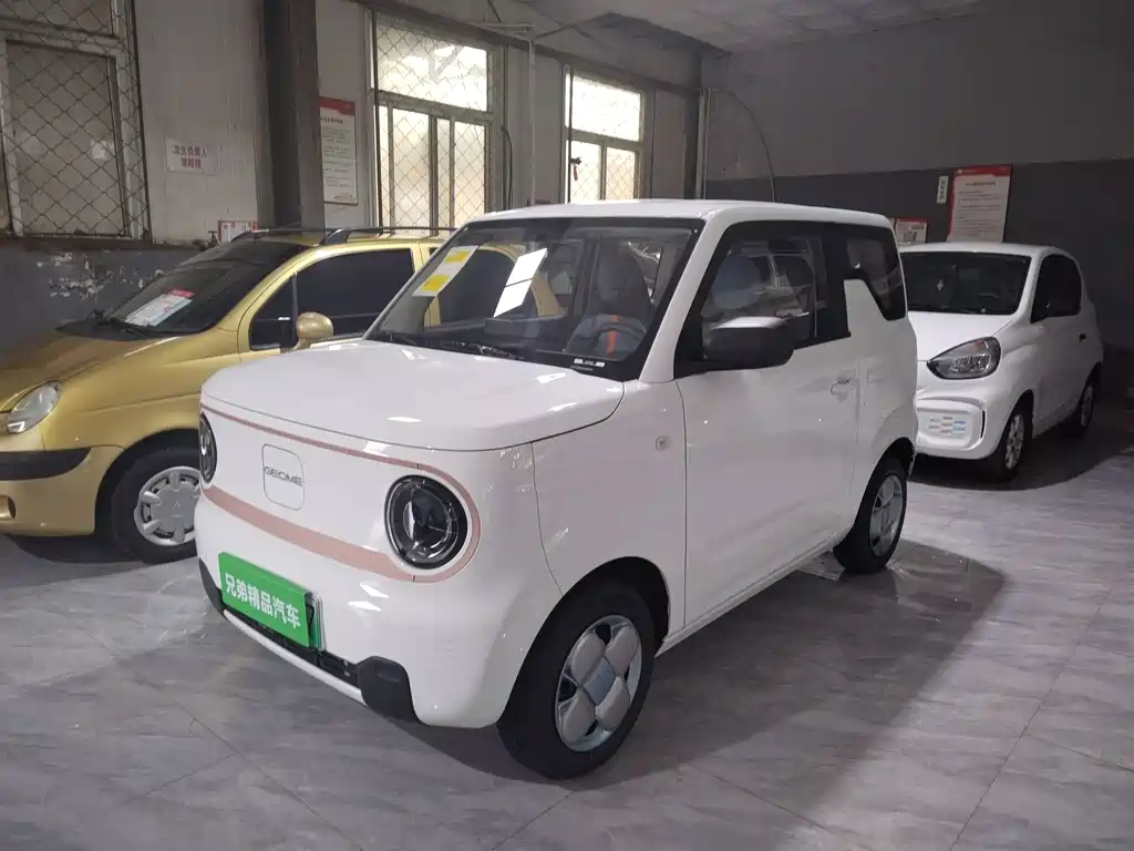GEELY GALAXY PANDA