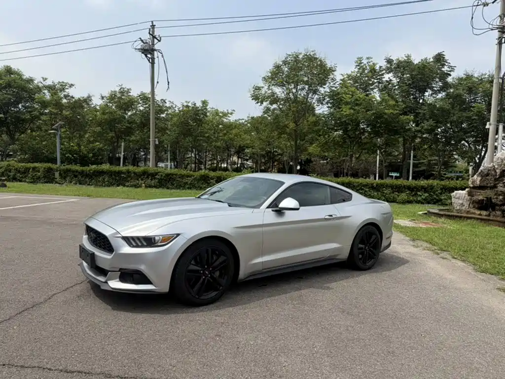 Ford Mustang — миниатюра 5