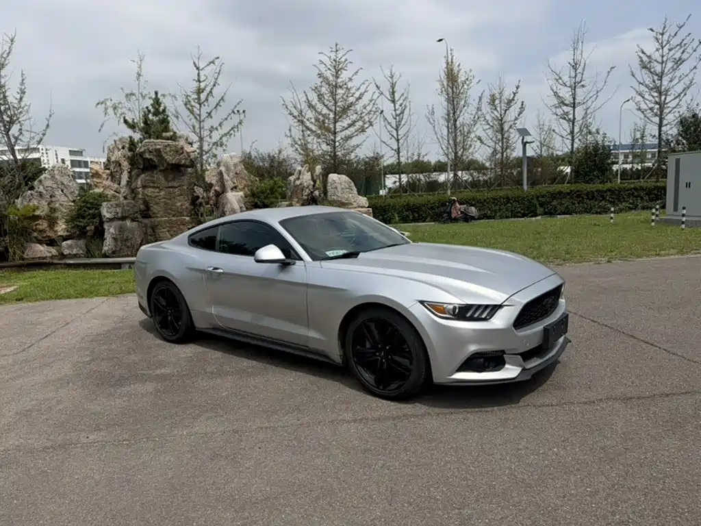 Ford Mustang — миниатюра 7