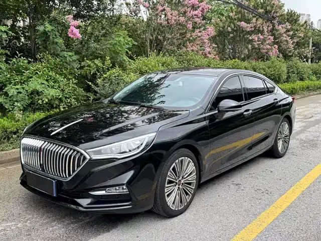 RED FLAG HONGQI H5 2021