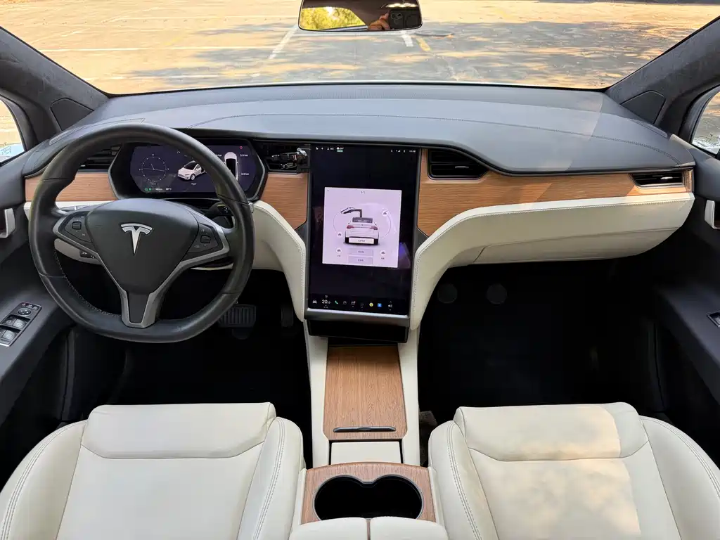 Tesla Model X — миниатюра 4