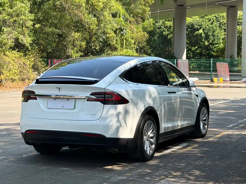 Tesla Model X — миниатюра 8