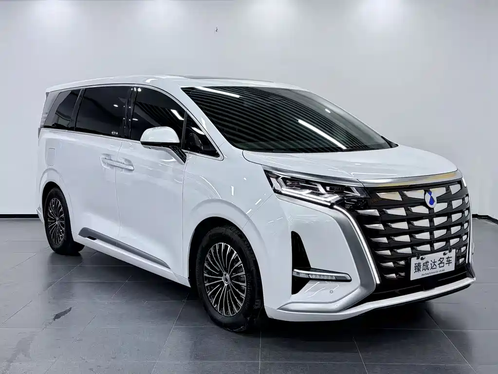 Denza Denza D9 — миниатюра 3