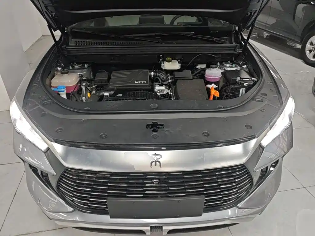BYD Pro New Energy — миниатюра 20