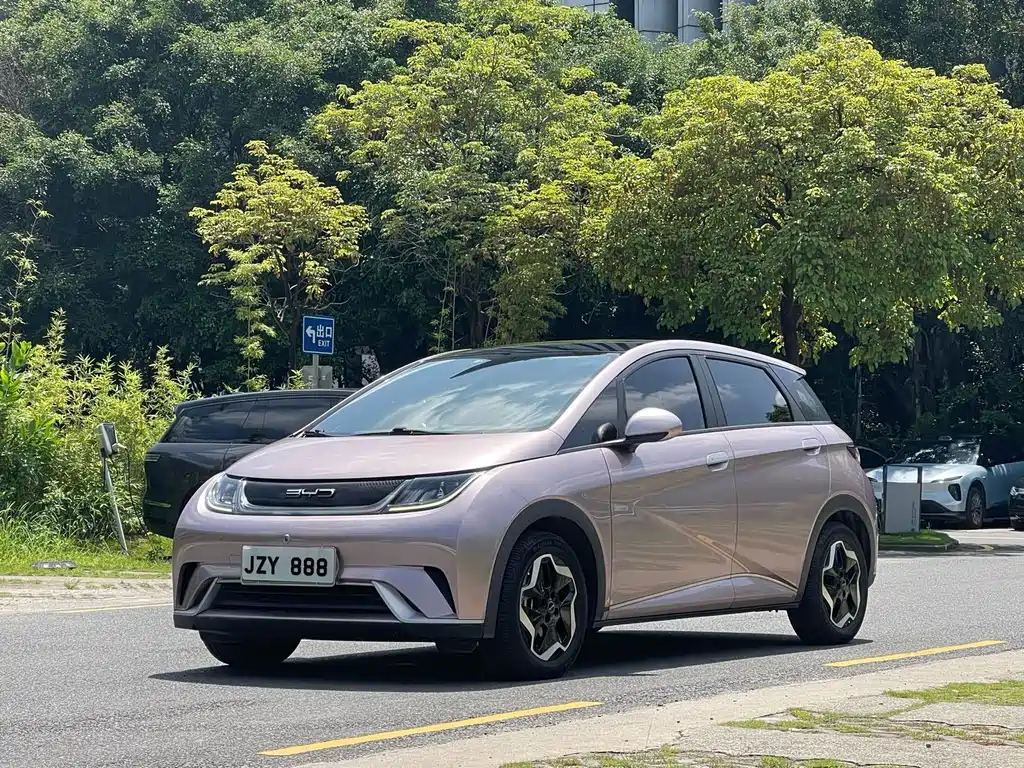 2022 BYD Dolphin - zdjęcie 1 z 23