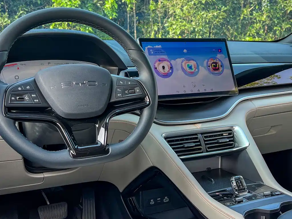 BYD PLUS New Energy — миниатюра 10
