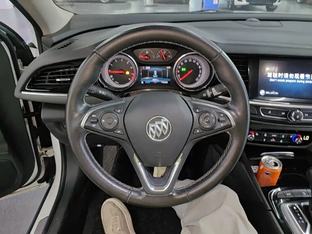 Buick Regal — миниатюра 11