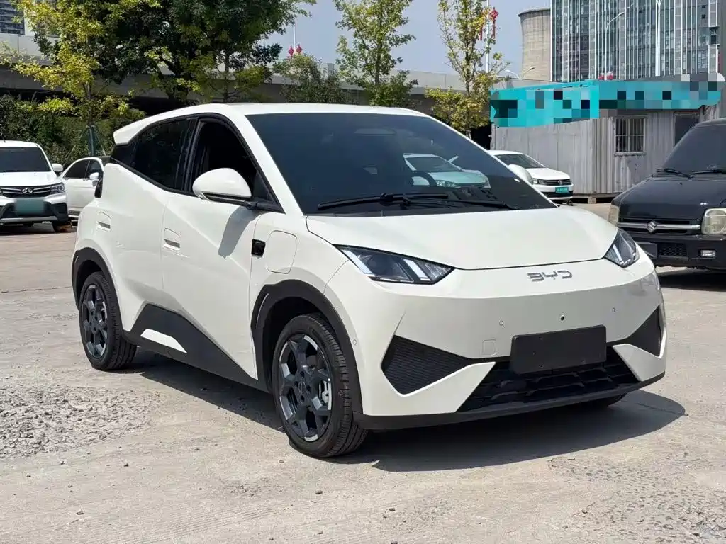 BYD Seagull 2025 Smart Drive 305km Freedom