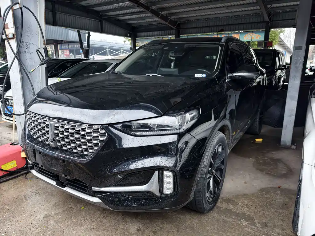 WEI PAI WEI BRAND VV6