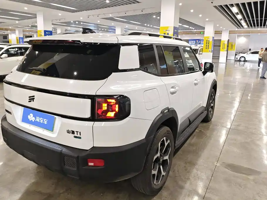 Shanhai Shanhai T1 — миниатюра 3