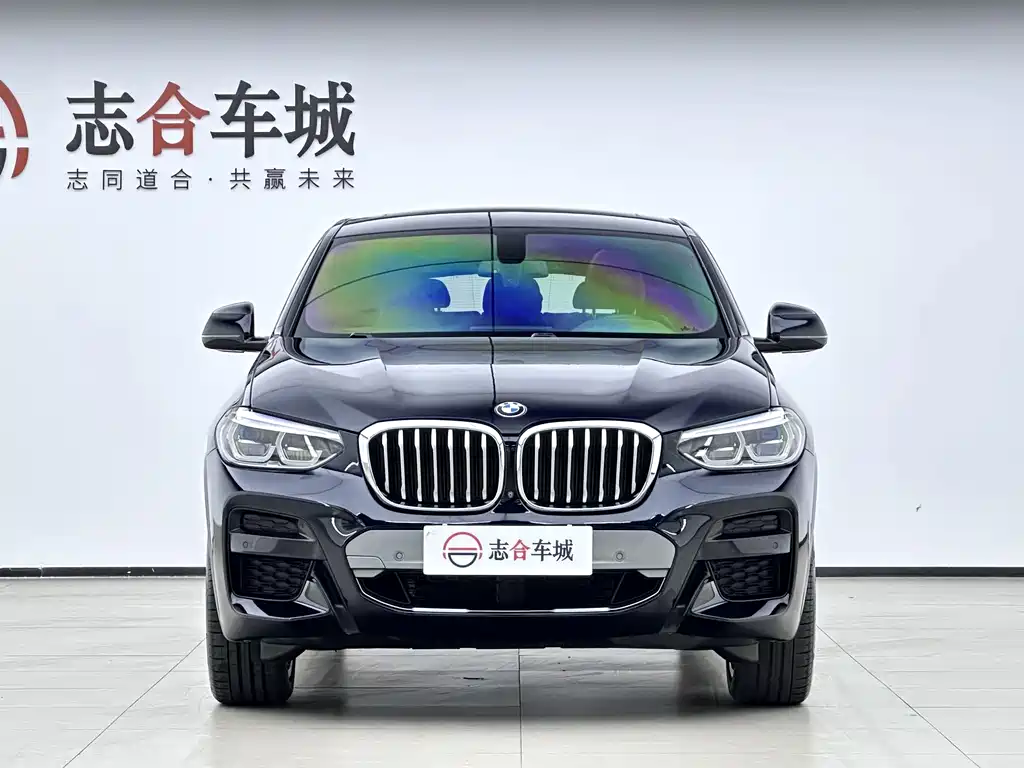 BMW X4 — миниатюра 2