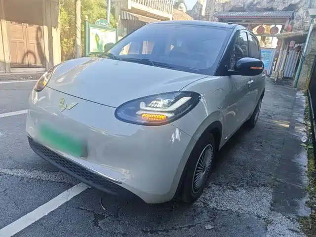 2024 Wuling Motors Binguo