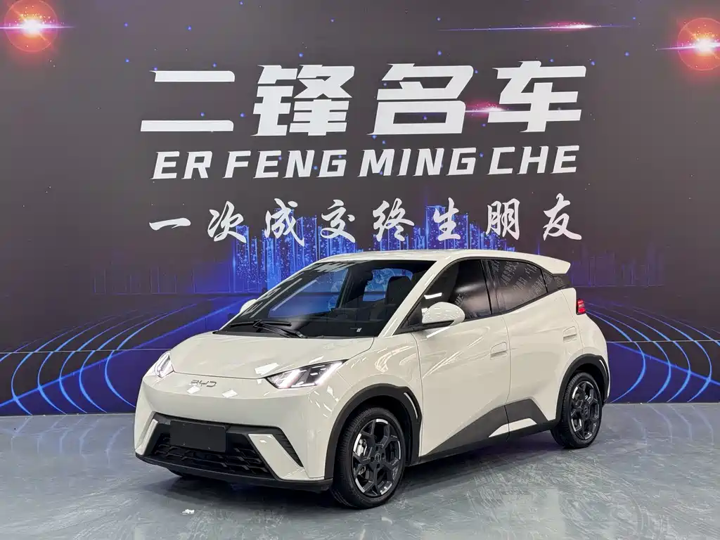 Byd Seagull 2024