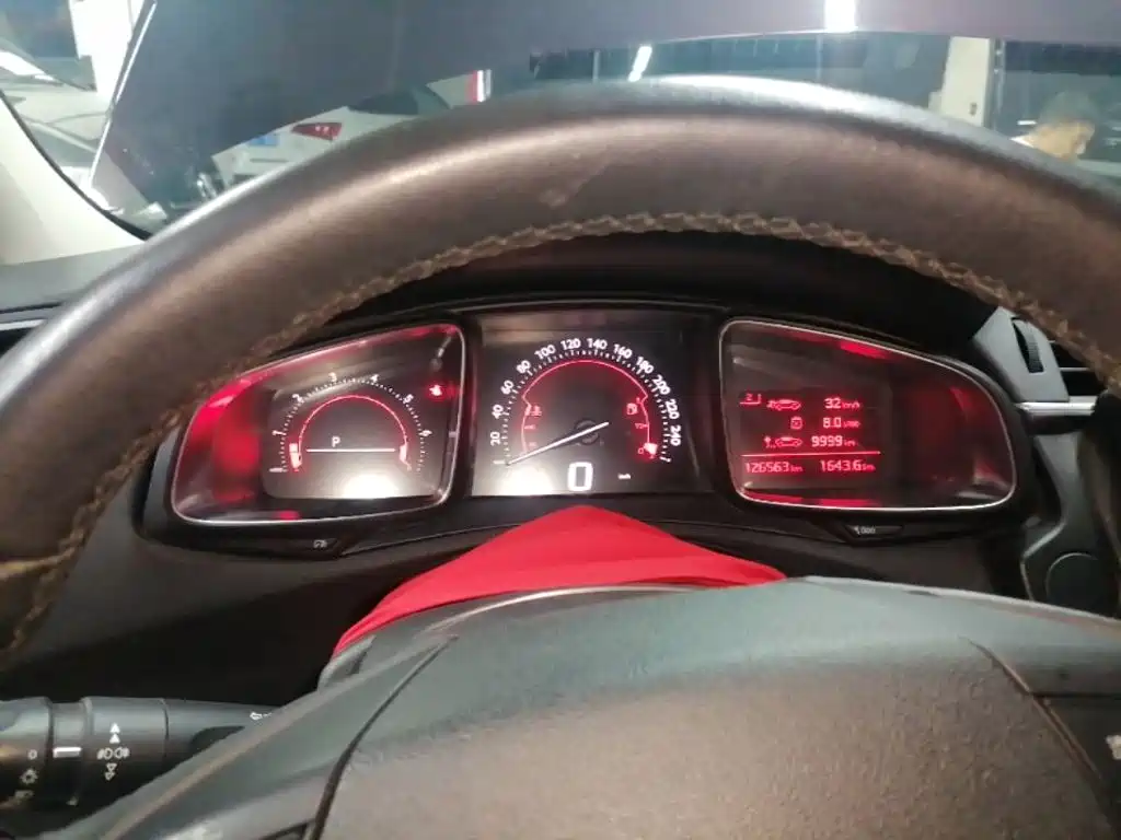 DS DS 5LS — миниатюра 12