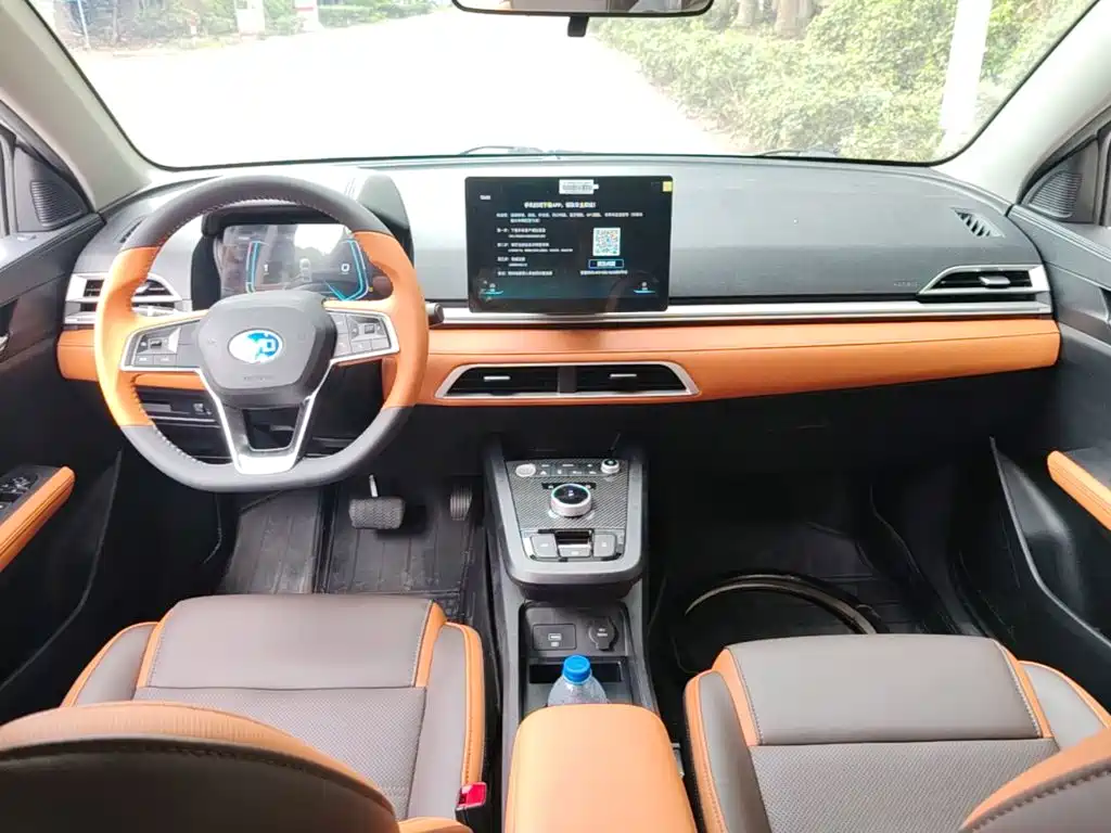 BYD e2 — миниатюра 10