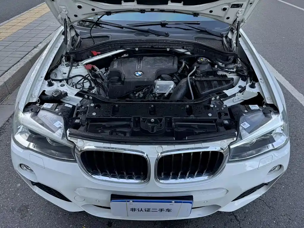 BMW X3 (Import) — миниатюра 14