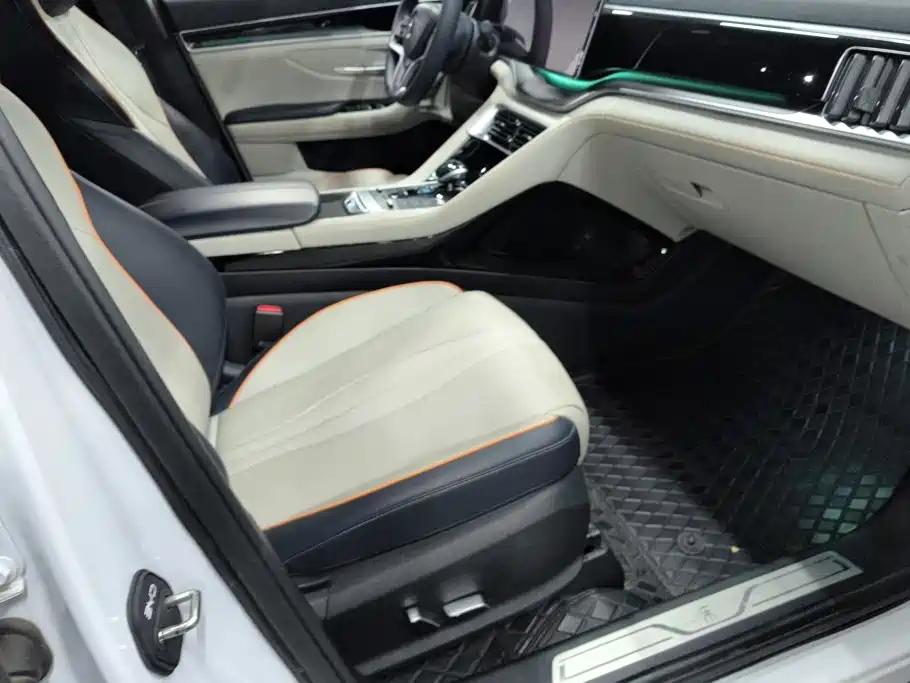 BYD PLUS New Energy — миниатюра 8