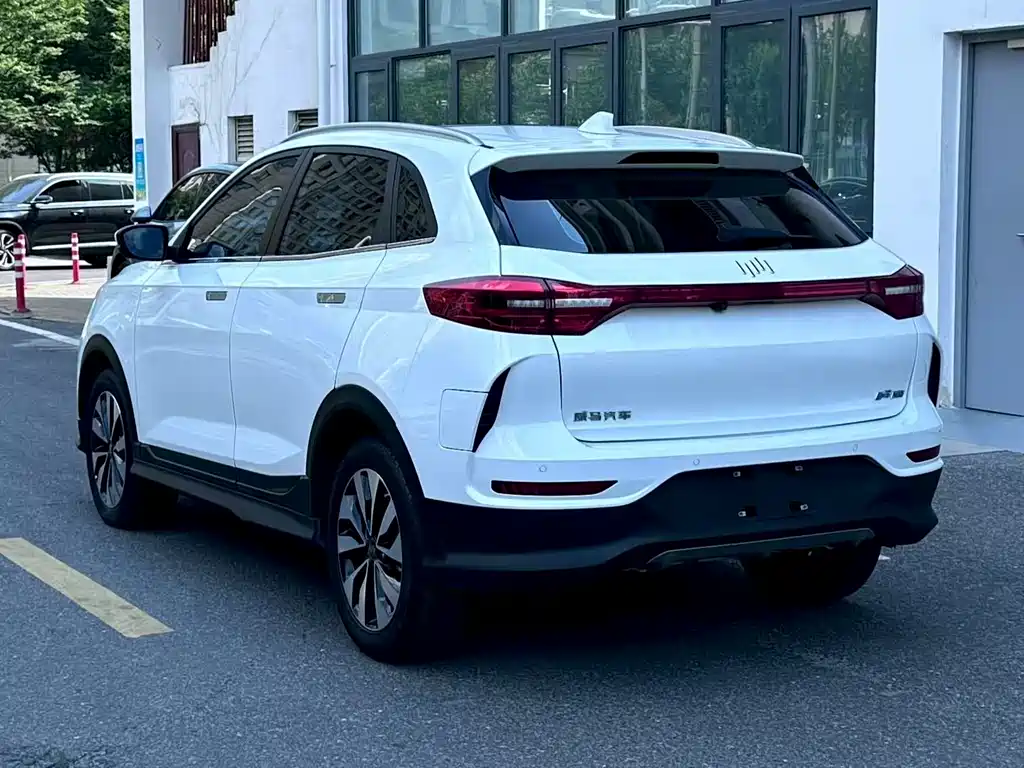 Weltmeister WEIMA EX5