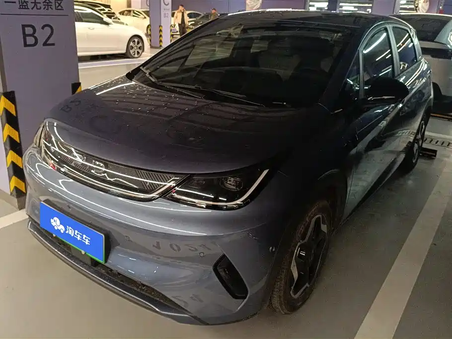 BYD DOLPHIN